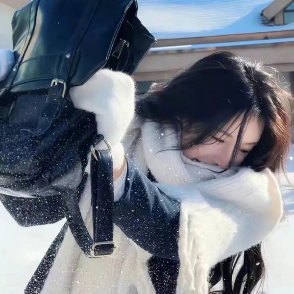 假面女仆
